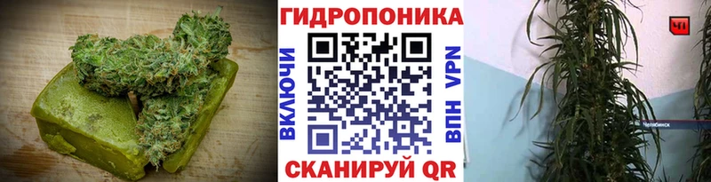 сколько стоит Владикавказ Cannafood марихуана