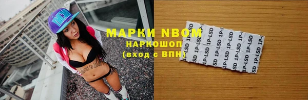 дмт Бородино