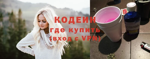 дмт Бородино