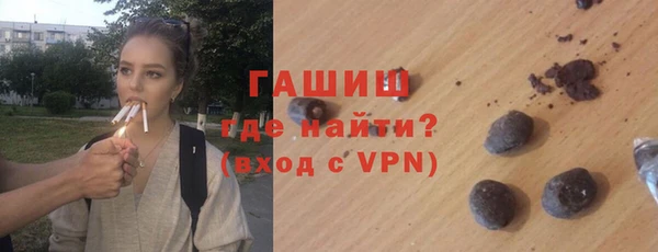 дмт Бородино